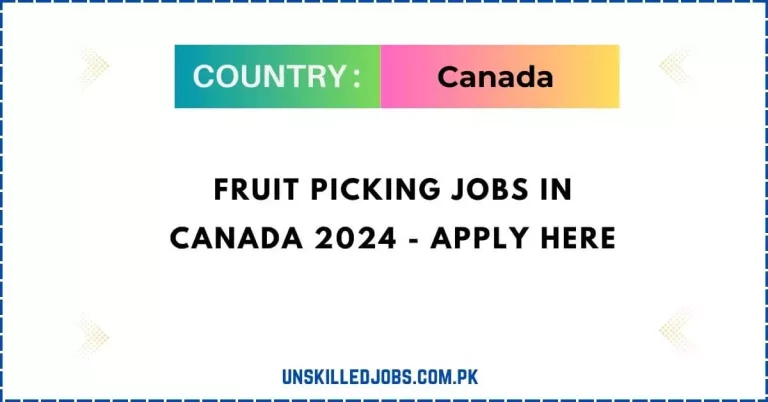 Fruit Picking Jobs in Canada 2024 – Apply Here